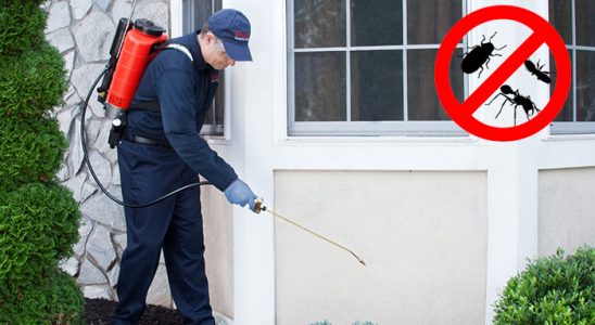 Niğde Fare İlaçlama böcek ilaçlama ve haşere kontrolü — ilaclama-tr.com